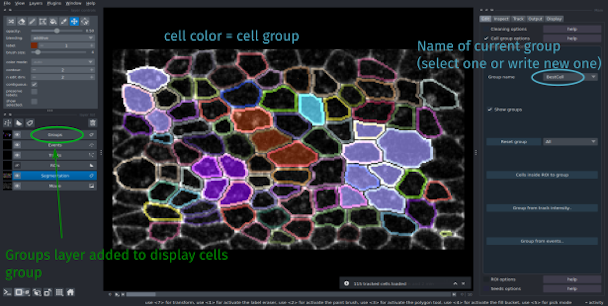 group interface