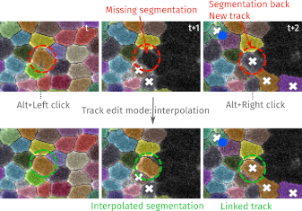 interpolation