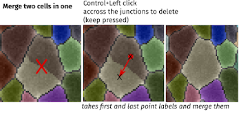 mergecells