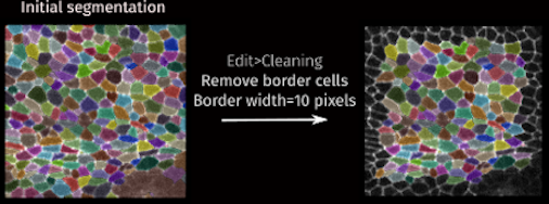 Remove border