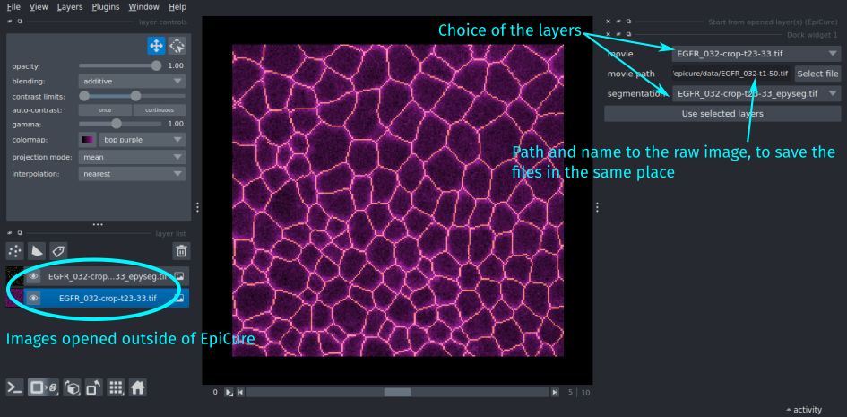 interface to start Epicure from open layers