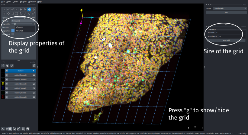 Grid interface