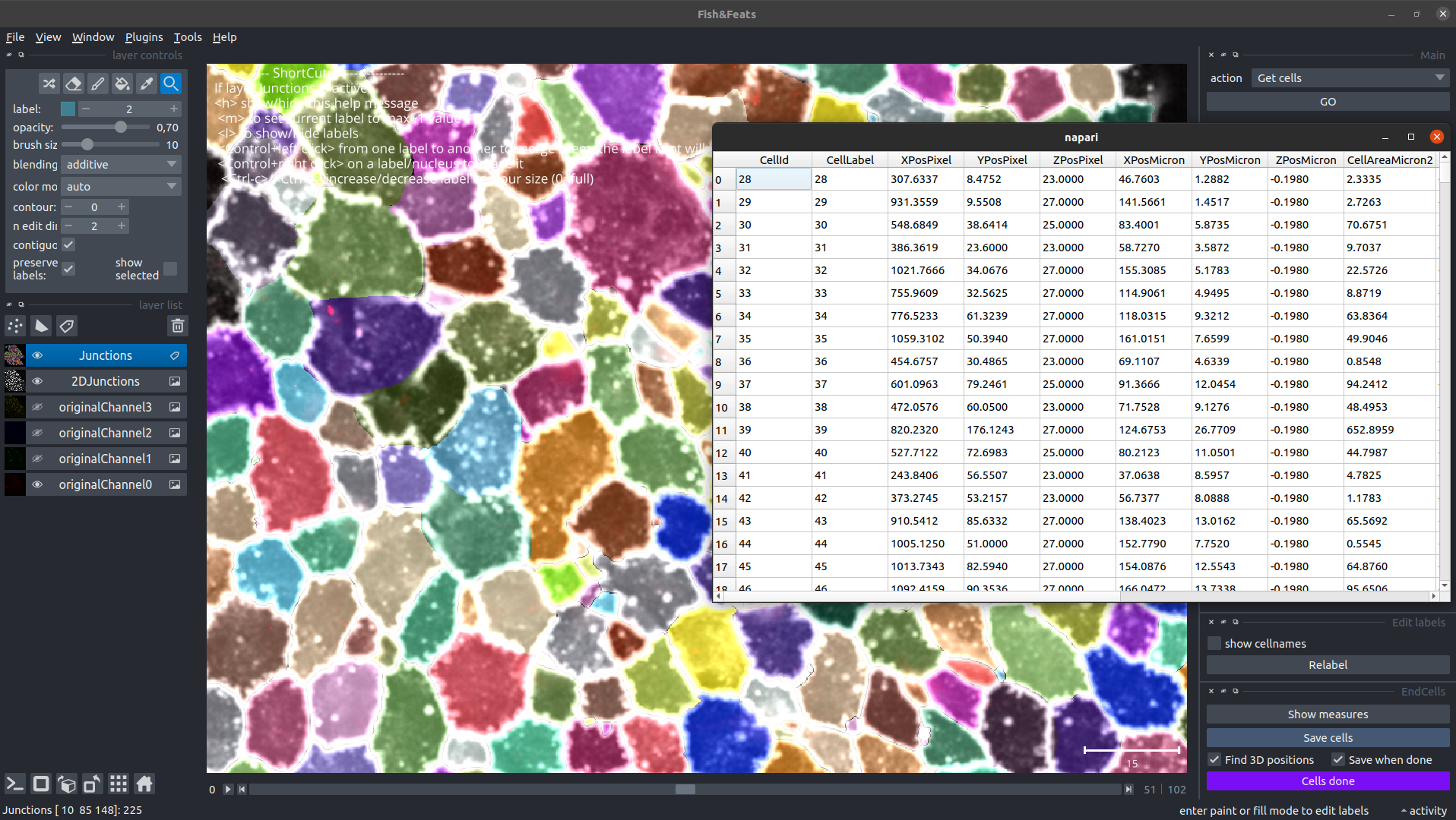 get_cells_measures