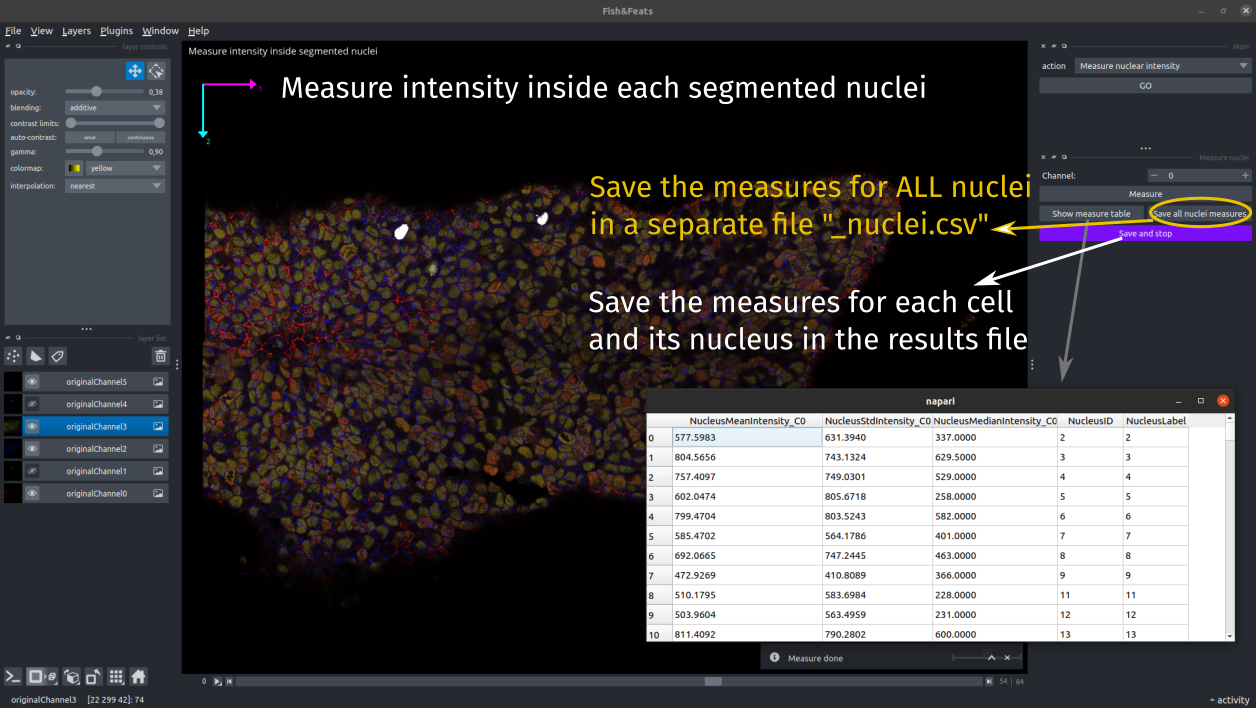 nuclear measure