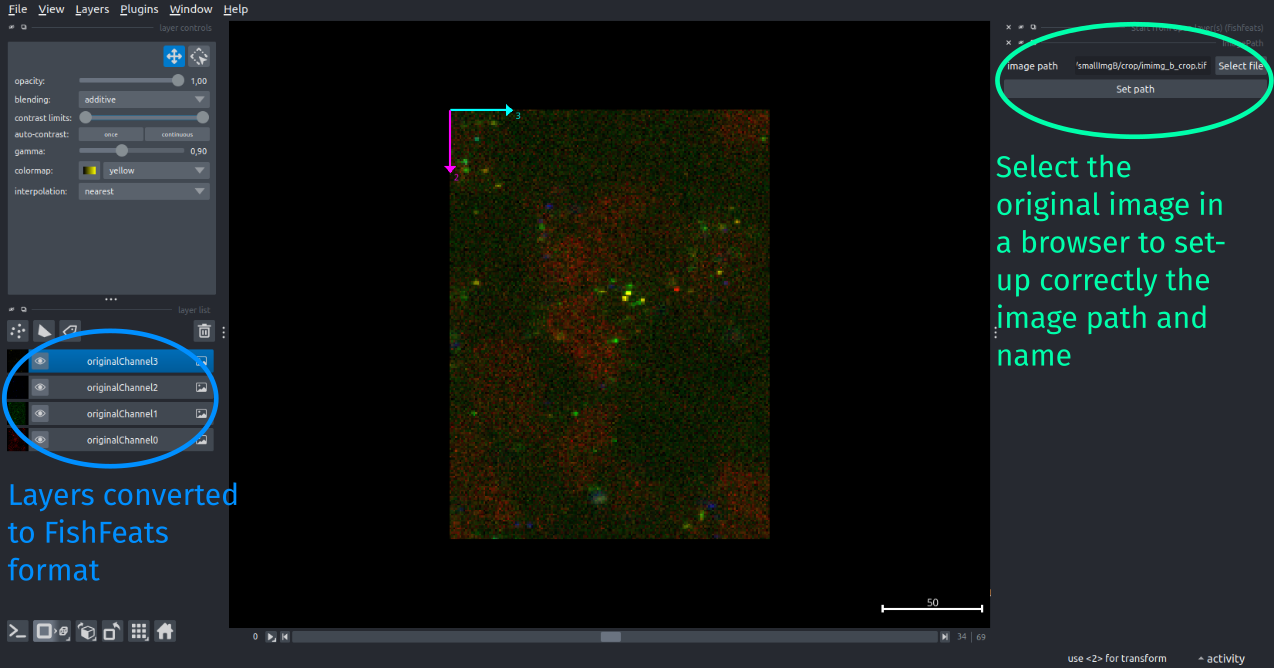 image path