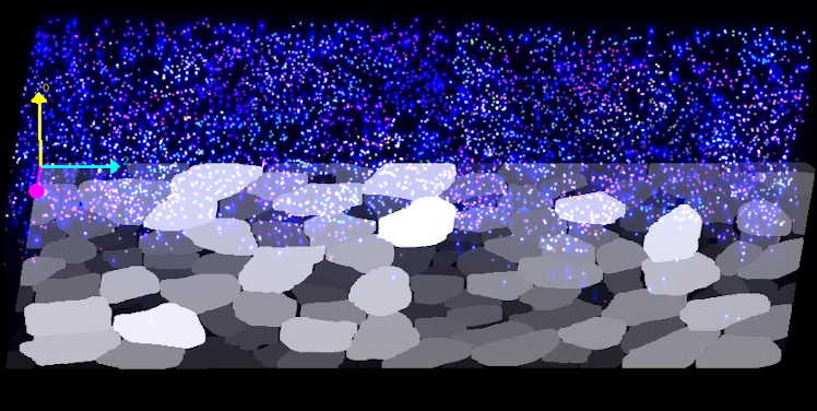 rna counts