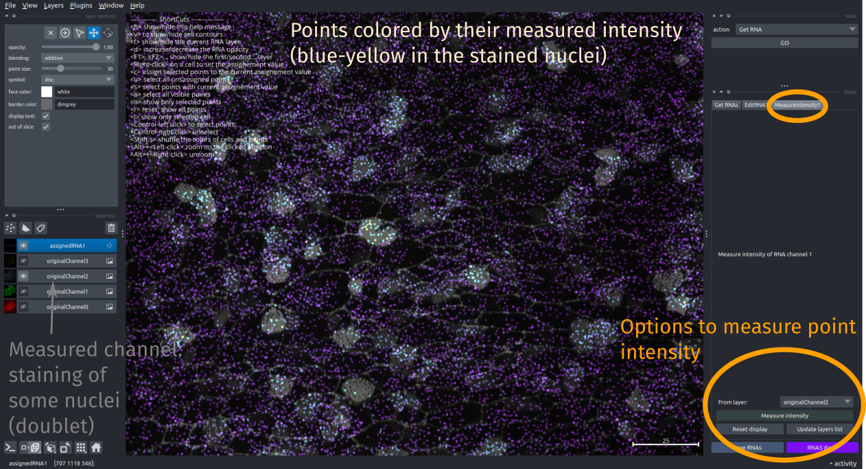 rna measure