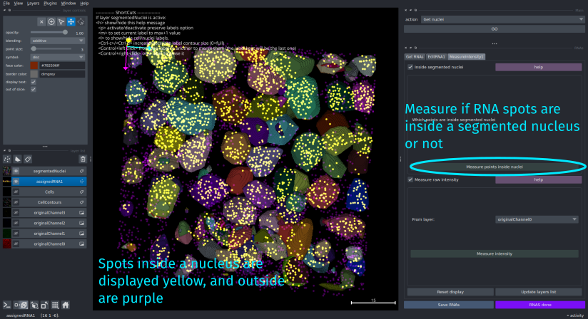 rna_measure_inside