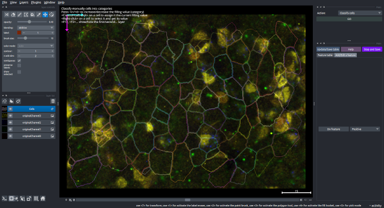classify cell begin