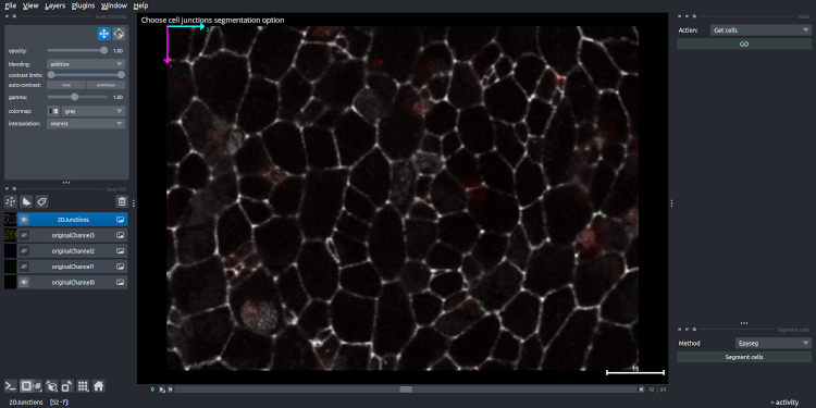 Image after projection