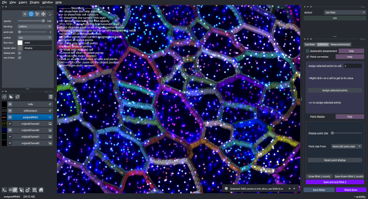 RNA assigned
