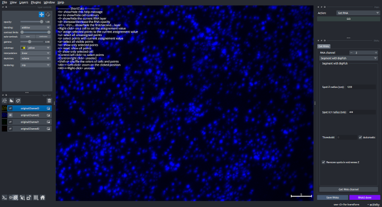 interface to segment RNA