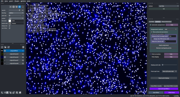 RNA segmentation done